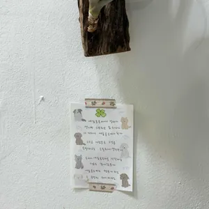 인커브 리뷰 사진