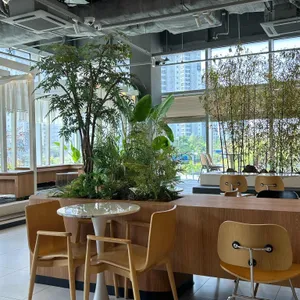 leaf sound 리뷰 사진