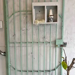 포이 리뷰 사진