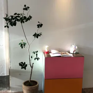 포이 리뷰 사진