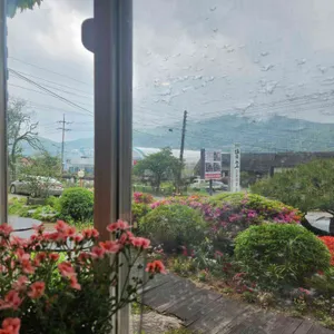 담소 리뷰 사진