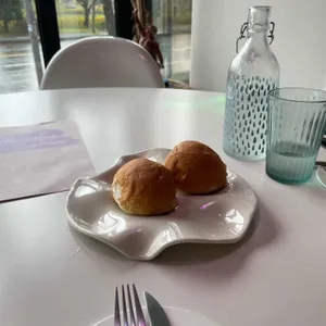 욘더 사진