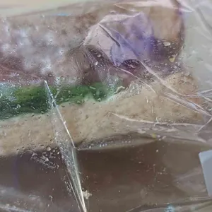 스타벅스 사진