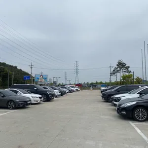 디비비 칼국수 리뷰 사진