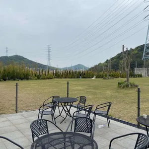 디비비 칼국수 리뷰 사진