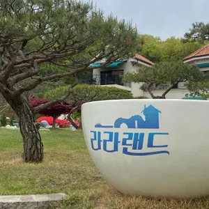 라라랜드카페 리뷰 사진