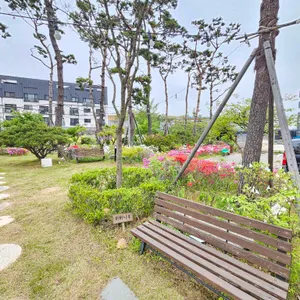 솔모로아띠카페빵선생 리뷰 사진