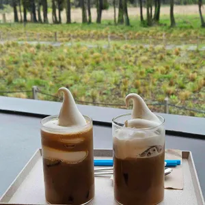 블루보틀 사진