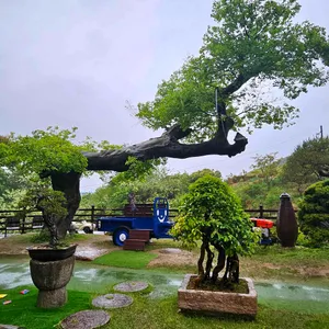 산과구름아래 리뷰 사진