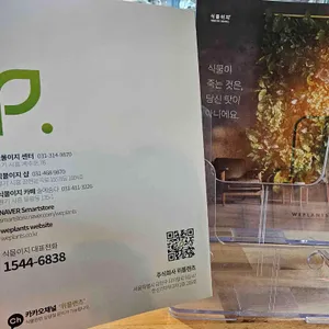 숲에숨다 리뷰 사진