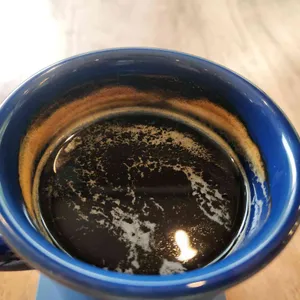 카페 정원 사진 2