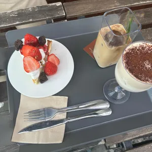 오우가 사진
