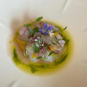 레에스티우 대표 사진