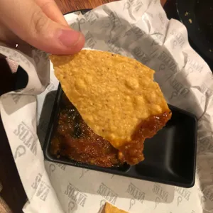 바토스 사진