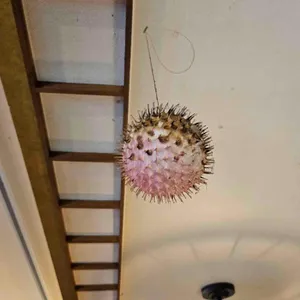 수림복국 리뷰 사진