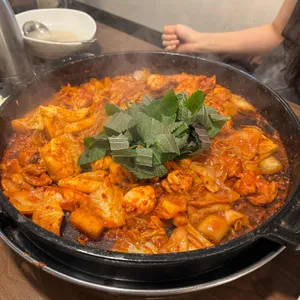 토닭토닭 사진
