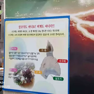 삼오식당 리뷰 사진