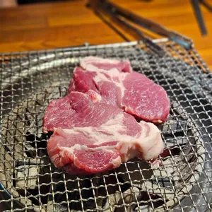 문정갈매기 사진