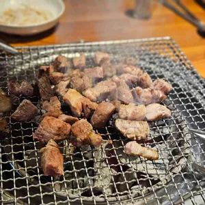 문정갈매기 사진