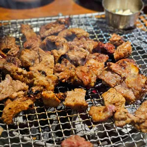 문정갈매기 사진