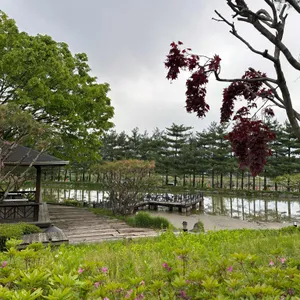 서일농원 솔리 리뷰 사진