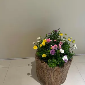 서일농원 솔리 리뷰 사진