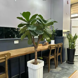 만복순대국 리뷰 사진