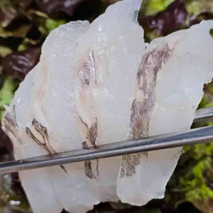 태안수산&물가맛있게먹는날 리뷰 사진