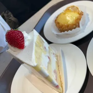 쉐프조 사진