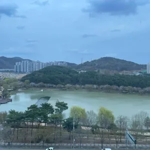 고메스퀘어 리뷰 사진