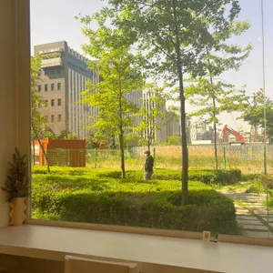 인쏘우 리뷰 사진