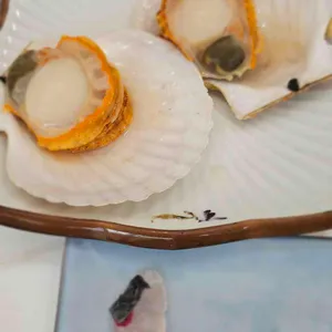 임포수달 사진