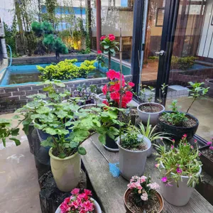 평장원 리뷰 사진