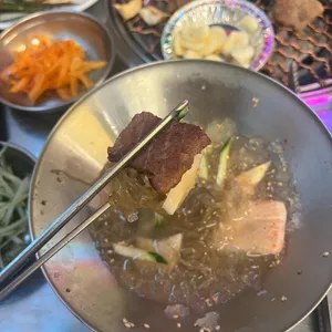 돈나라 사진