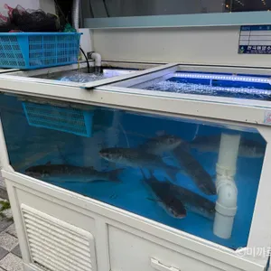 오케이도매횟집 사진 2