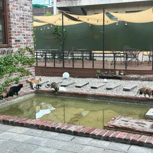 무소 리뷰 사진