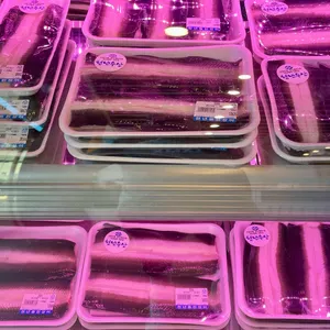 천년풍천장어 사진