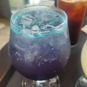 쇼어 사진