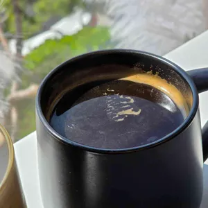 쇼어 리뷰 사진