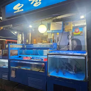 오징어 세상 리뷰 사진