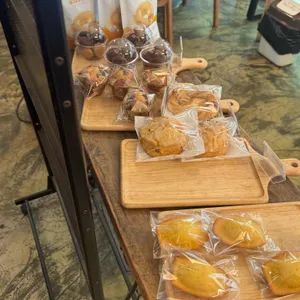 투토 사진