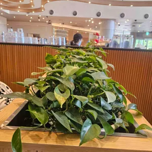 스타벅스 리뷰 사진