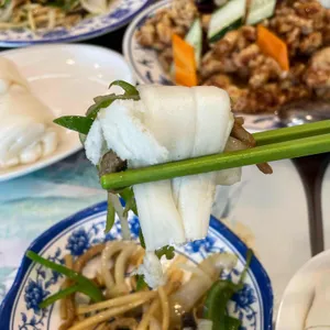 유래등 사진