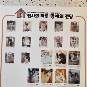 집사의하루 리뷰 사진