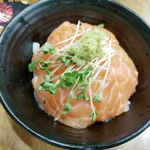 홍대개미 사진