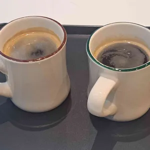 댄싱컵 사진