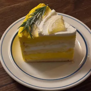 커닝 사진
