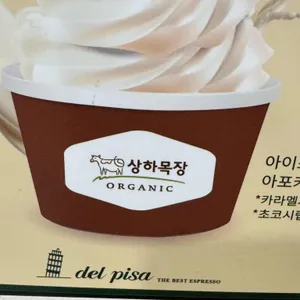 델피사 리뷰 사진