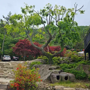 사문로98 리뷰 사진