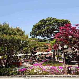 파노라마 베이커리 카페 리뷰 사진
